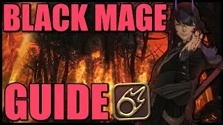 The Only Black Mage Guide You'll Ever Need (FFXIV Dawntrail Edition)