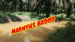 MANCING IKAN DI PARIT || KEBUN SAWIT PAKAI UMPAN CACING
