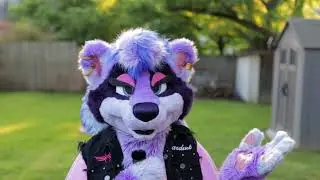 Life Update (Please Watch)
