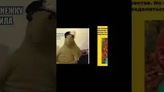 мемы 