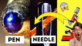Common Objects Under The Microscope | Things You Can Only See Under Microscope