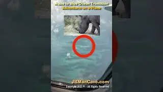 AQUA GIANT RHINO SHAPES in the Ocean Seen from PLANE WINDOW Travel Adventures JBManCave.com #Shorts