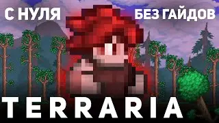 THE FIRST HOUR IN TERRARIA FROM SCRATCH