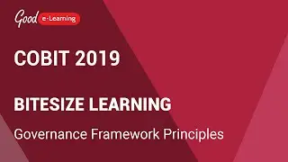 COBIT 2019 Bitesize Learning: Governance Framework Principles (COBIT 2019 tutorial)