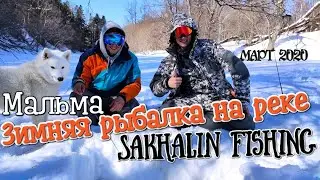Зимняя рыбалка на реке. Сахалин, март 2020. Подводная съёмка.