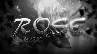 MGX - Rose
