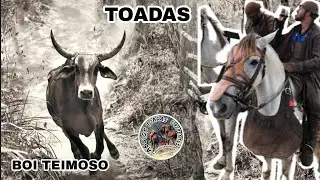 Toada do Boi Mirassol e Mas outras Toadas de Gado.