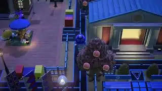Moments From Animalia: Chased By A Tarantula