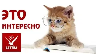 Борись до конца - добейся успеха!
