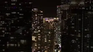 Ночной Майами прекрасен 