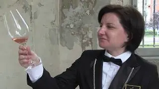 Best Wine Star 2019