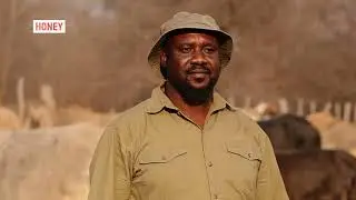 Here's what you can expect in African Farming