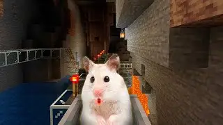 Hamster in Roller Coaster Underground Maze in Minecraft