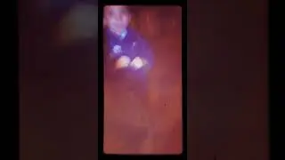 Шаурма