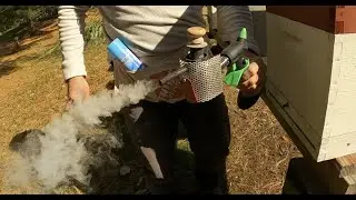 Fall oxalic acid treatment and thoughts on hive box setup for different seasons