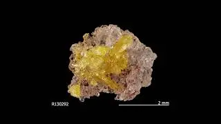 Iodine 53 | Music From the Periodic Table