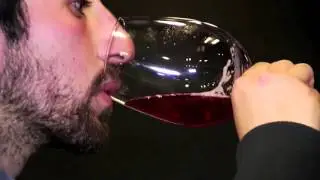 guiarte capitulo 31