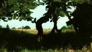 Breath of Nature
