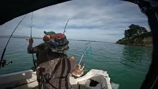 HOOKED UP A MONSTER
