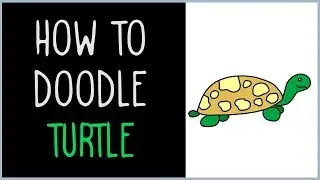 How to Draw a Turtle (drawing tips)