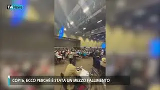 COP16, ecco perché è stata un mezzo fallimento