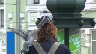 Гули-гули...