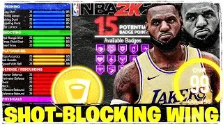 BEST RARE SHOT BLOCKING WNG LEBRON JAMES BUILD IN NBA 2K21 NEXT GEN!