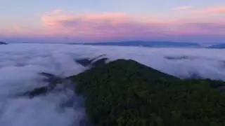 Town Mountain - Asheville, NC - 4 Snowbird Ln