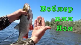 Такой рыбалки у меня еще не было. Ловля ЯЗЯ на ВОЛГЕ.