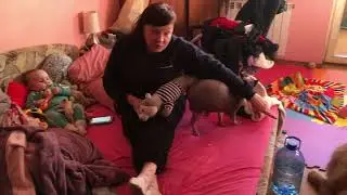 Фортеця незламності