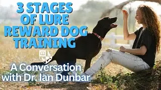 The 3 Stages of Lure Reward Dog Training - A Conversation with Dr. Ian Dunbar