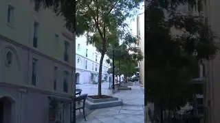 Шикарная улица для прогулок. Вот только где?  