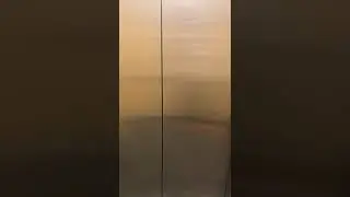 Graeginator Rides The Elevator at Macy’s at Orland Square Mall in Orland Park, IL