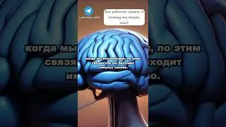 ВЫ ГОТОВЫ УЗНАТЬ, какие тайны скрывает ваша память? 