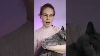 Мой закадровый помощник) 