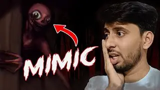 I Found A MIMIC