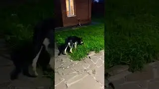 Вечерело