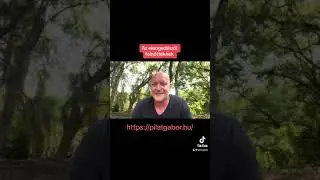 Az elengedésről felnőtteknek