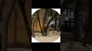 смотри шапку профиля  и закрепленный комментарий 