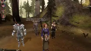 Dragon Age Origins. Логэйн и Зевран. 