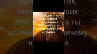 мудрая цитата 