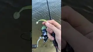 Начало мая а рыбы дуром! Окунь с каждой проводки! Рыбалка на спиннинг (ультралайт)
