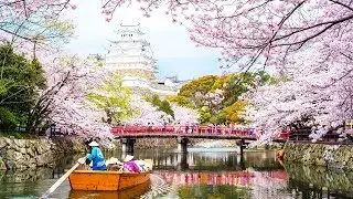 The Best Places to Go in April