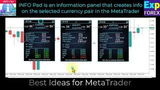 English. InfoPad, Online Information Panel for MetaTrader