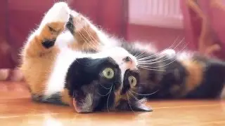 10 ЛАЙФХАКОВ КОТОРЫЕ ИЗМЕНЯТ ВАШУ ЖИЗНЬ!!!