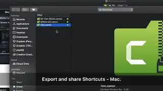 Camtasia 2020 - Export and Share Shortcuts