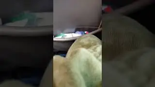 robot sound