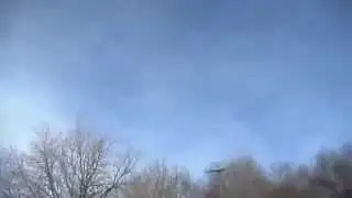 Как Сокол хотел унести маленького ребенка