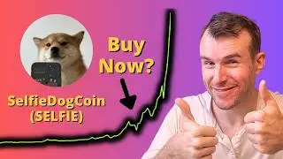 Buy The SelfieDogCoin Rally? ⚠ Selfie Crypto Token Analysis