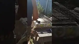 это дачный влог бабье лето у нас тепло на улице солнце ⛅☀️